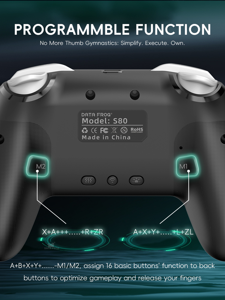 DATA FROG 2 Pack Wireless Pro  - Gaming Console For Android Tv review and price